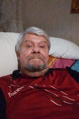 Foto pengguna vantransrs