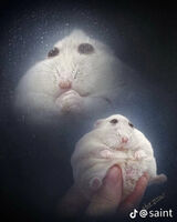 Zdjęcie użytkownikaKozioleKacpi