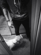 Foto utilizatorului kokabana342