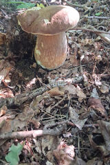 Zdjęcie użytkownika Markopolo45