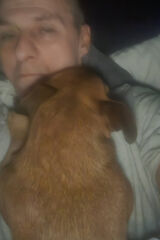 Fotka uživatele darekpydynowski13