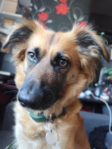 Foto pengguna dareknaglik1979