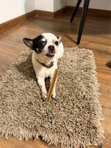 Zdjęcie użytkownika Xxxxxxx95