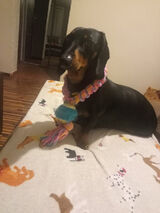 Фотография пользователя CoSieLampisz