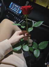 Photos esagnieszka52