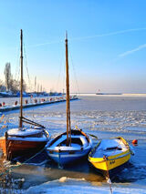 Foto pengguna Mamcik123