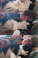 Zdjęcie użytkownika Nieedrzyj13