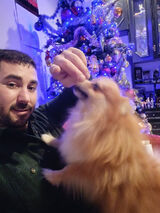 Fotos mustafa06dincsoy