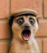 Zdjęcie użytkownika Principium86