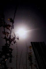 Foto pengguna alienslough