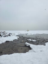 Benutzerfoto Margaretkaaa