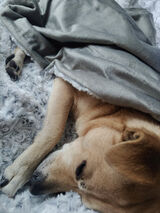 Benutzerfoto Bartolomeo1991