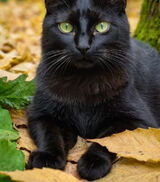 Фото користувача tomek1982kozer