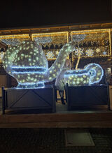 Benutzerfoto bialekg49