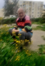 Photos MohamedZak
