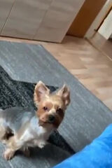 Benutzerfoto kamcia1949