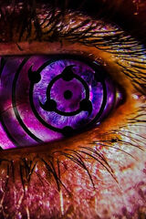 Фото користувача mercedes2673