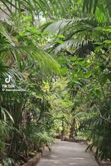 Benutzerfoto paulinaserek21