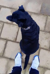 Benutzerfoto xTADEOx