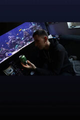 Fotos dawidklusek777