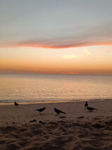 Fotos MagdaCiszewska1984