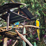 Fotka uživatele Pocztowy555