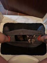 Фото користувача coscoszukasz