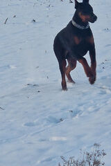 Zdjęcie użytkownika Andrzej88ss