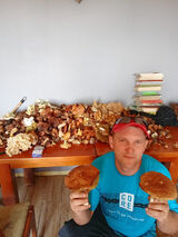 Фотография пользователя krzysztofsmolik4