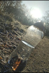 Zdjęcie użytkownika LEMCIO