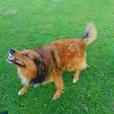 Foto utilizatorului inzarplo