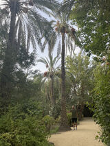 Zdjęcie użytkownika Artur1112q