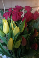 Zdjęcie użytkownika Kasienka00000