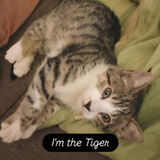 Fotka uživatele dominiksbieraj