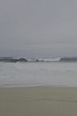 Benutzerfoto dzikielf