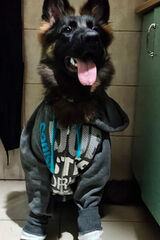 Fotka uživatele anetawidlarz