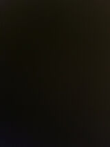 Benutzerfoto qqqqqqq4