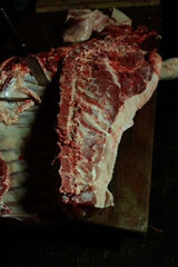 Zdjęcie użytkownika marczewskigrzego23