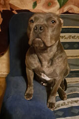 Foto pengguna dawidblaszczuk41