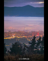 Фотография пользователя kondziubagii