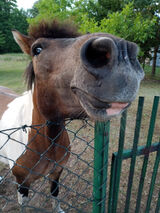 Zdjęcie użytkownika KamilCzeczen