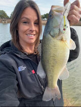 Photos lindasafelicity