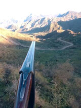 Zdjęcie użytkownika azzoch