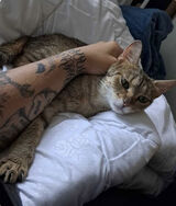 Benutzerfoto gracek2410