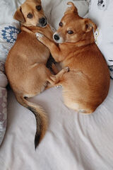 Фото користувача JakubK1995