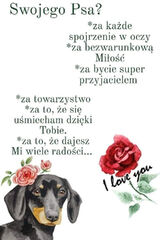 Zdjęcie użytkownika Anna2301