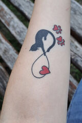 Фотография пользователя Fajnaaaa2222