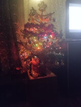 Benutzerfoto elkatomaszewka