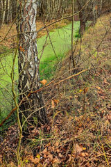 Фото користувача Bynio1774