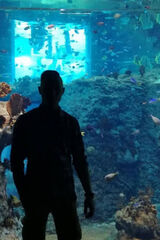 Фотография пользователя Carlos0000